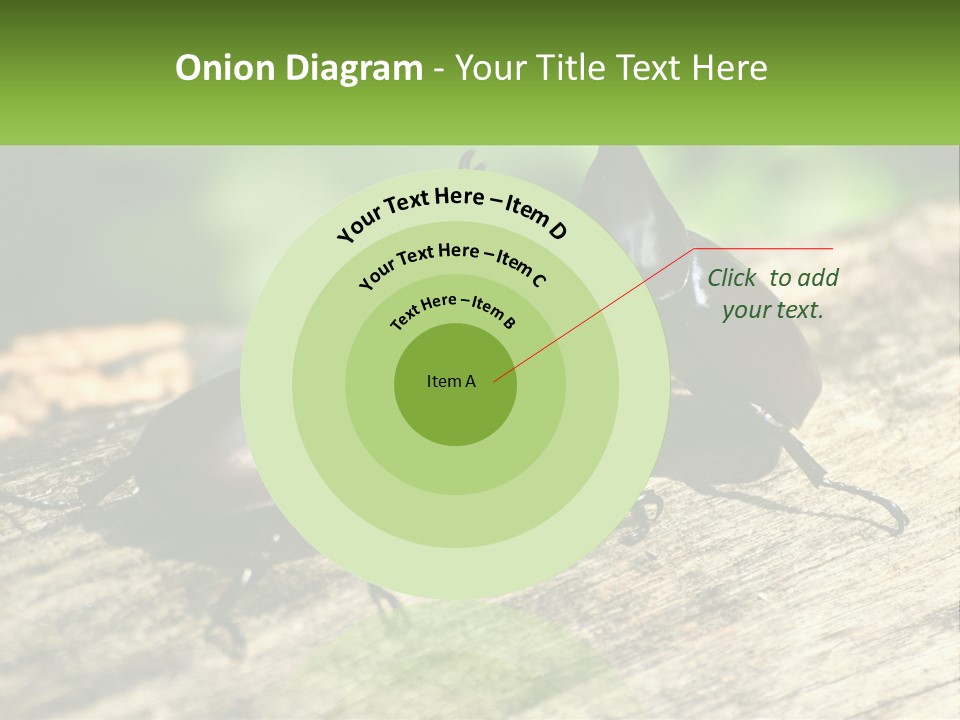 Sunrise Portrait Coast PowerPoint Template