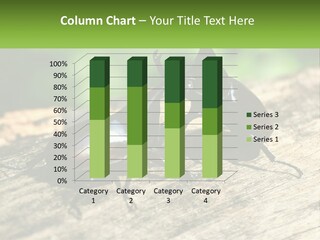 Sunrise Portrait Coast PowerPoint Template