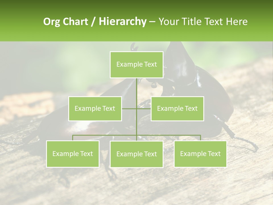 Sunrise Portrait Coast PowerPoint Template
