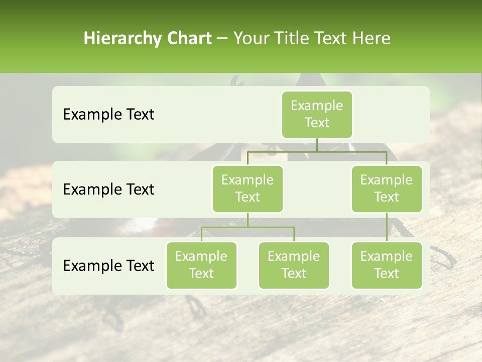 Sunrise Portrait Coast PowerPoint Template