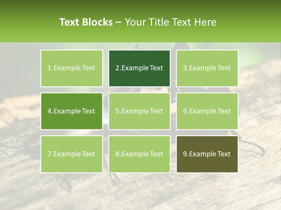 Sunrise Portrait Coast PowerPoint Template