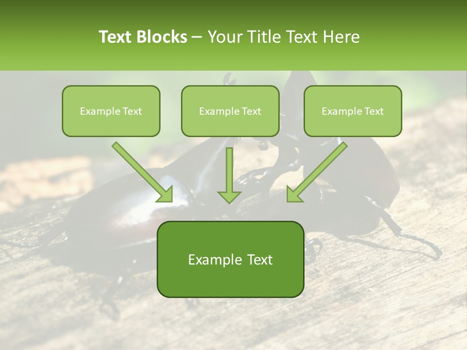 Sunrise Portrait Coast PowerPoint Template