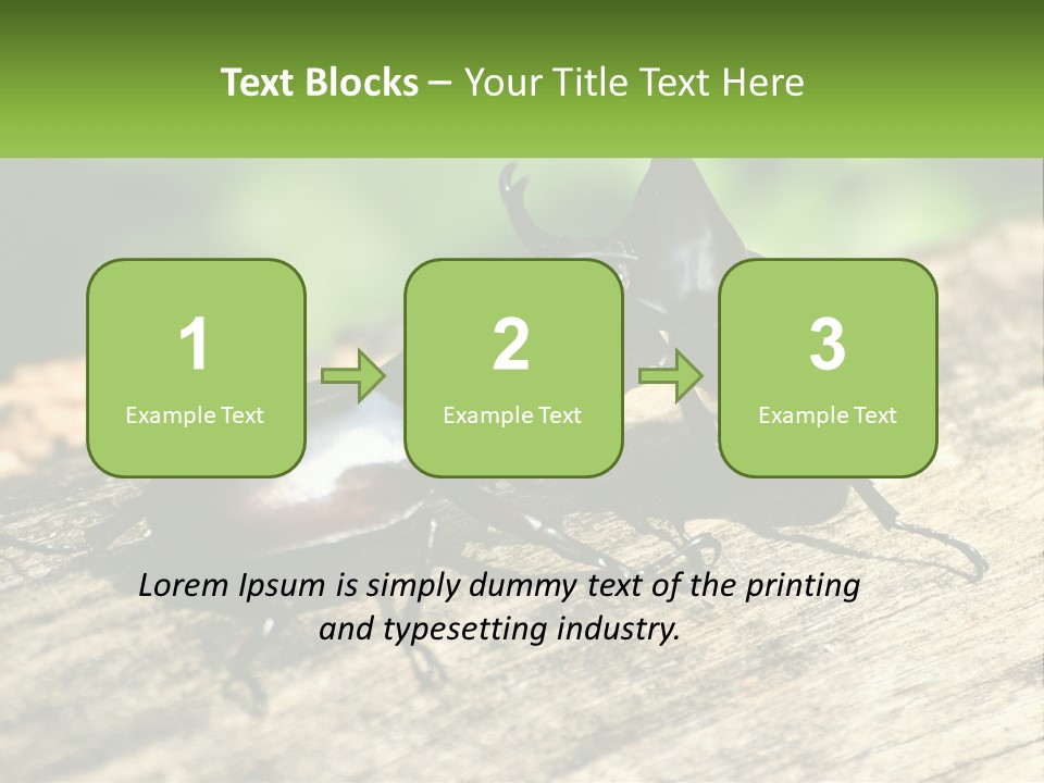Sunrise Portrait Coast PowerPoint Template