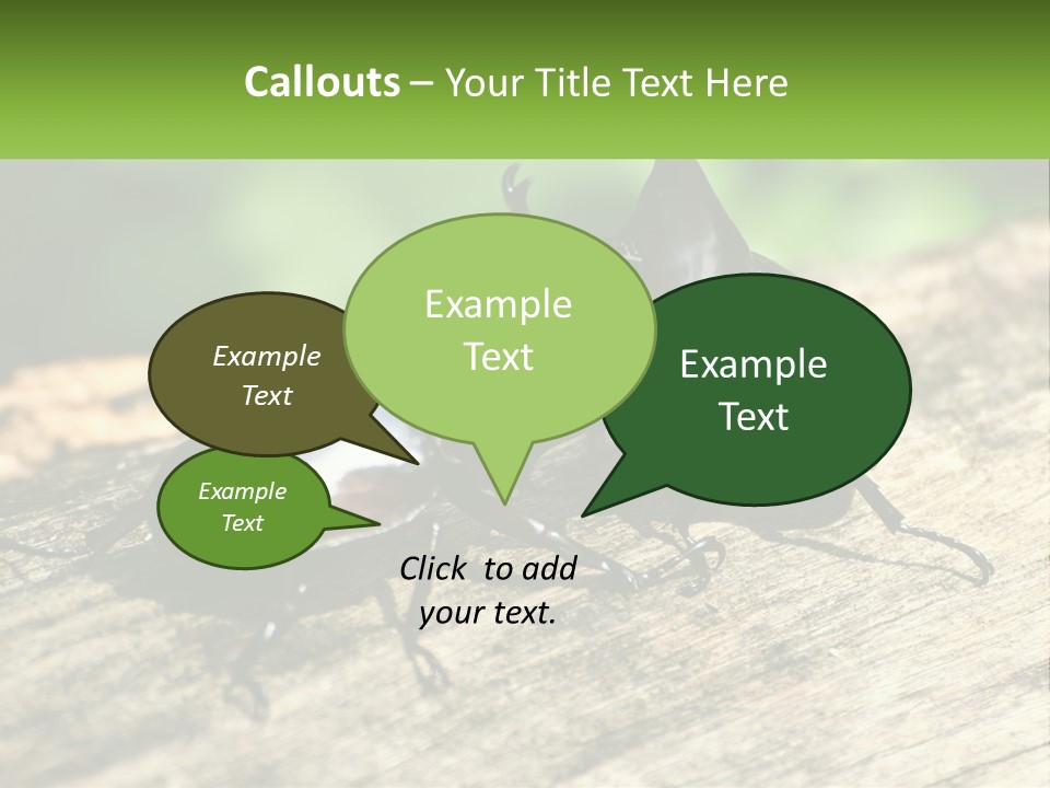 Sunrise Portrait Coast PowerPoint Template
