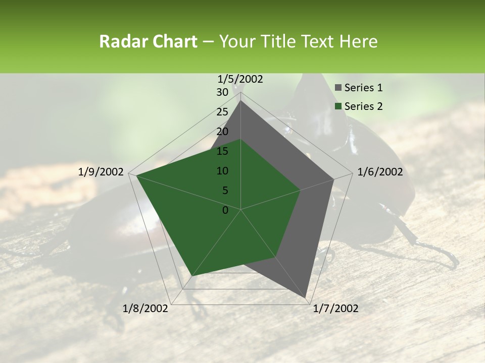 Sunrise Portrait Coast PowerPoint Template