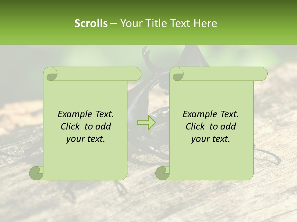 Sunrise Portrait Coast PowerPoint Template