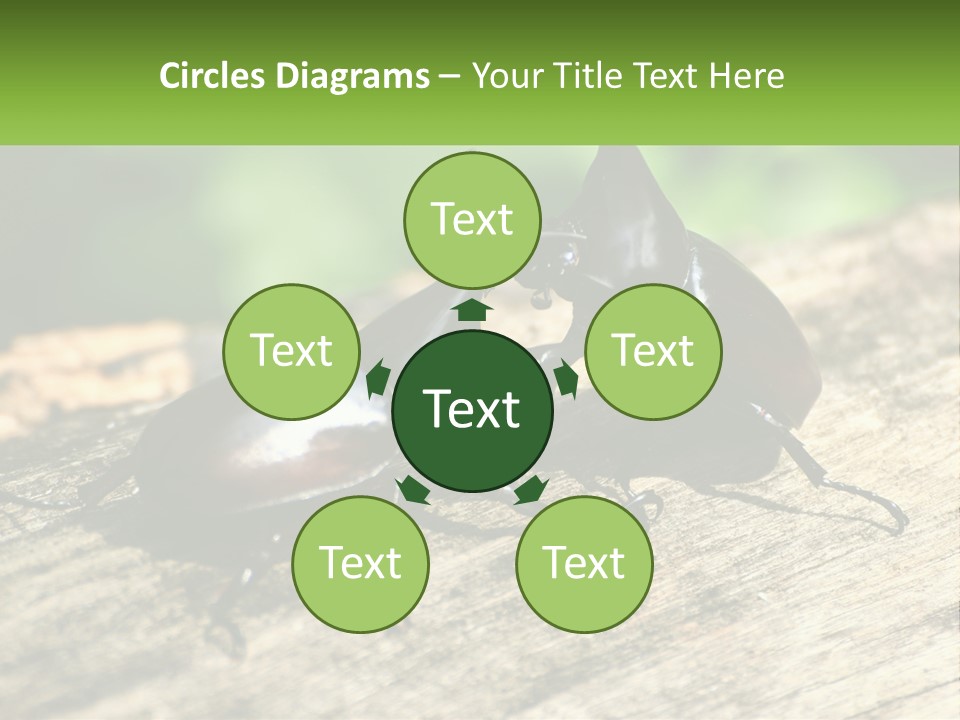 Sunrise Portrait Coast PowerPoint Template