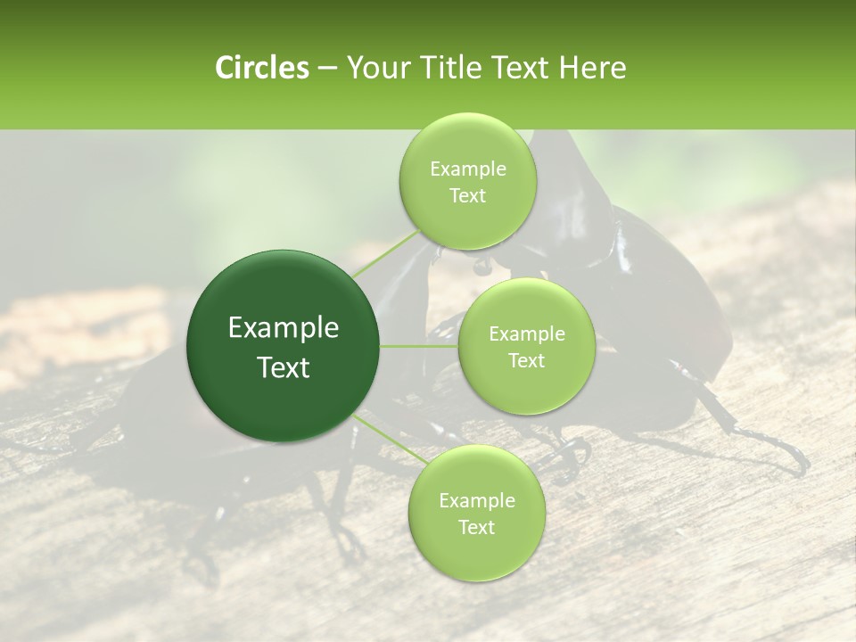 Sunrise Portrait Coast PowerPoint Template