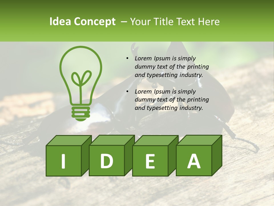 Sunrise Portrait Coast PowerPoint Template