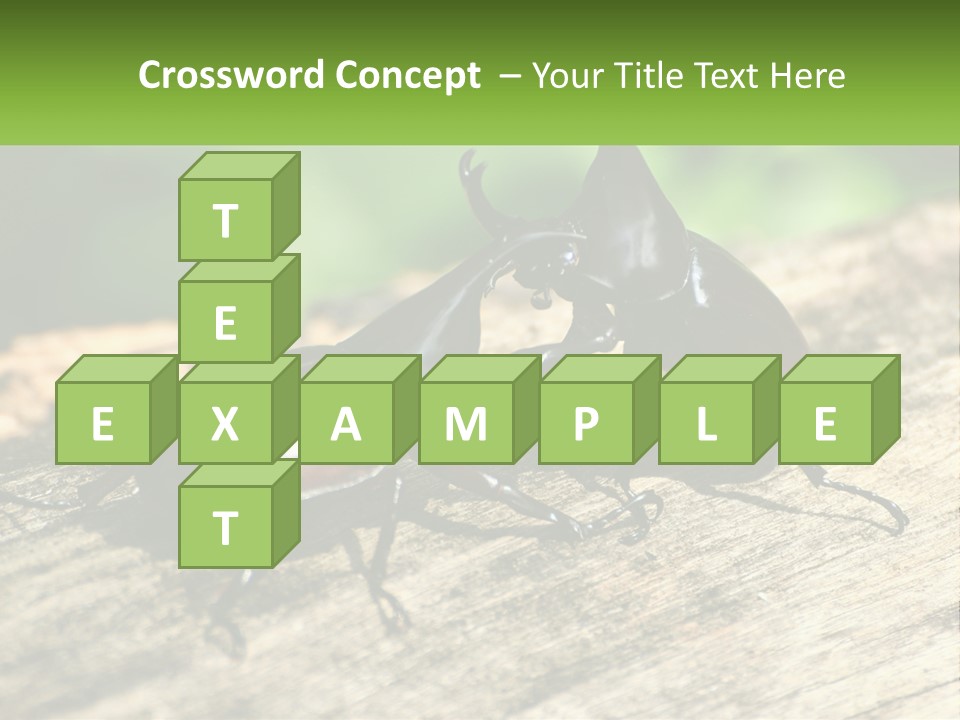 Sunrise Portrait Coast PowerPoint Template