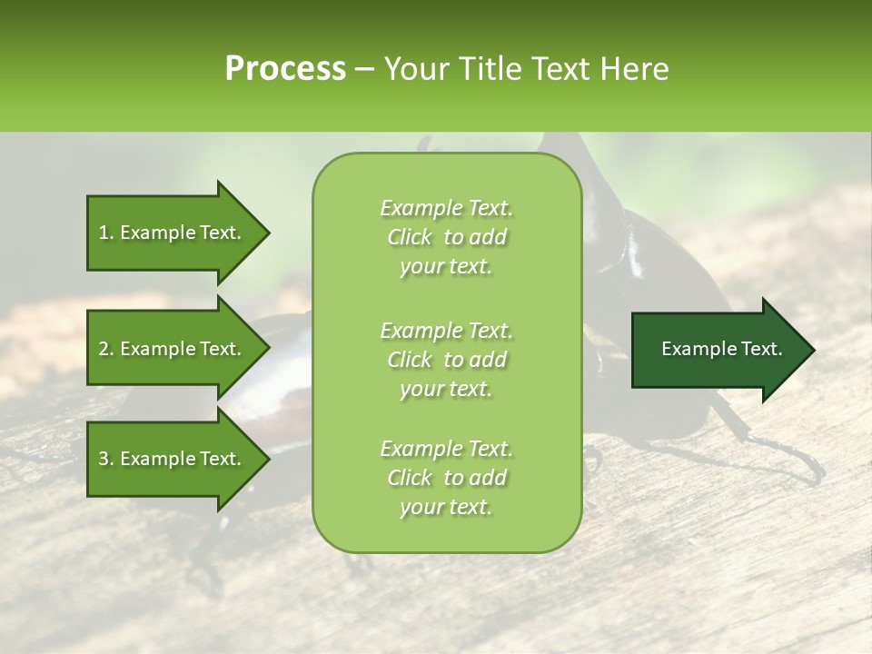 Sunrise Portrait Coast PowerPoint Template