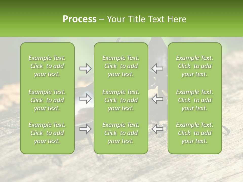 Sunrise Portrait Coast PowerPoint Template
