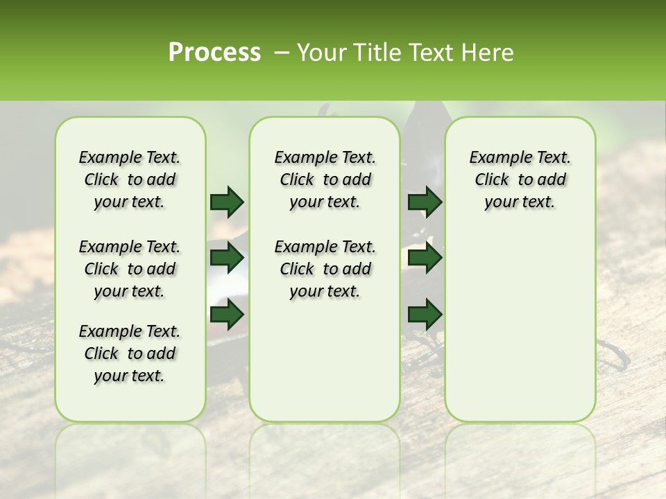 Sunrise Portrait Coast PowerPoint Template