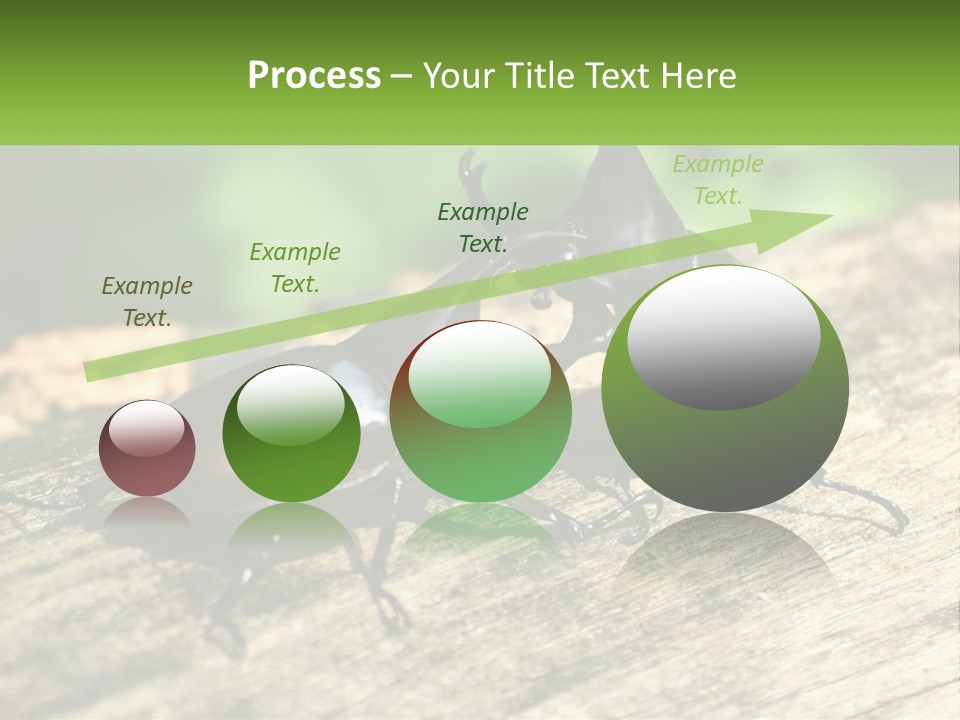 Sunrise Portrait Coast PowerPoint Template