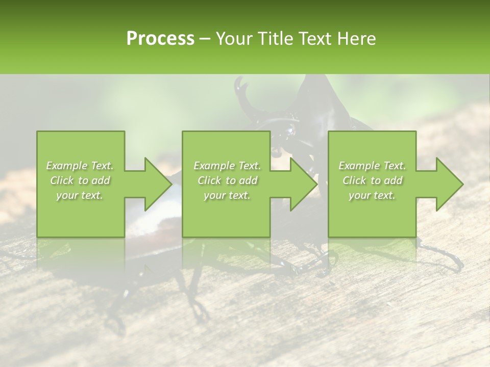 Sunrise Portrait Coast PowerPoint Template