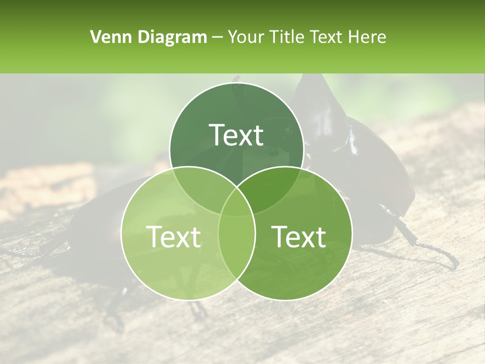 Sunrise Portrait Coast PowerPoint Template