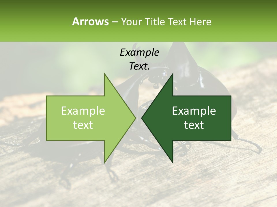 Sunrise Portrait Coast PowerPoint Template