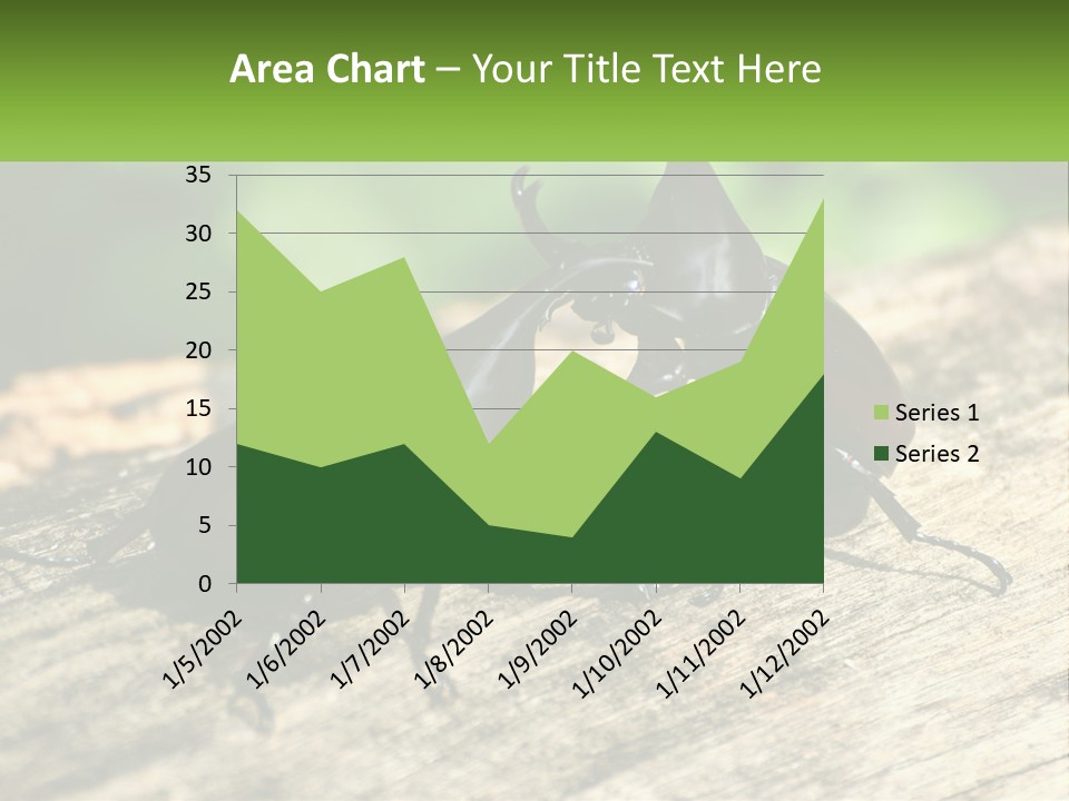 Sunrise Portrait Coast PowerPoint Template