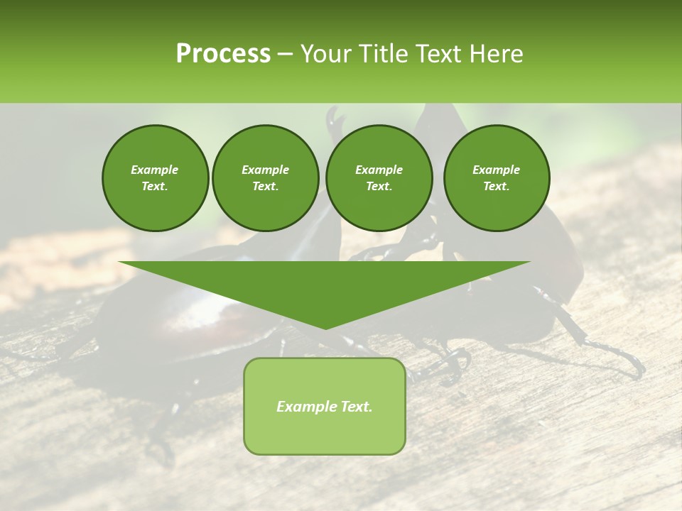 Sunrise Portrait Coast PowerPoint Template
