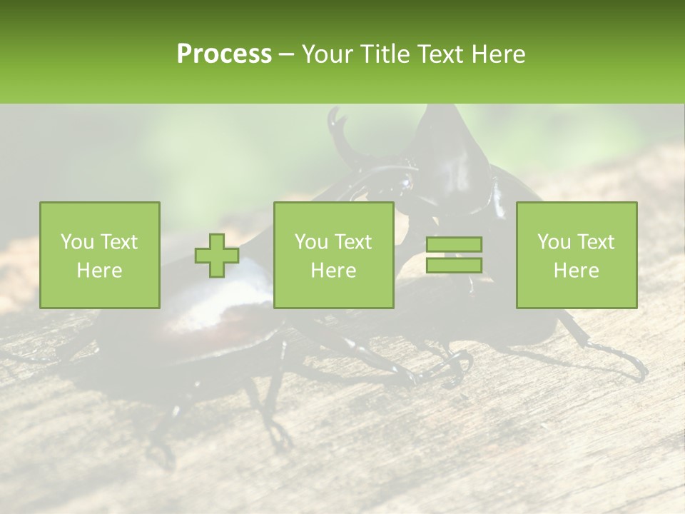 Sunrise Portrait Coast PowerPoint Template