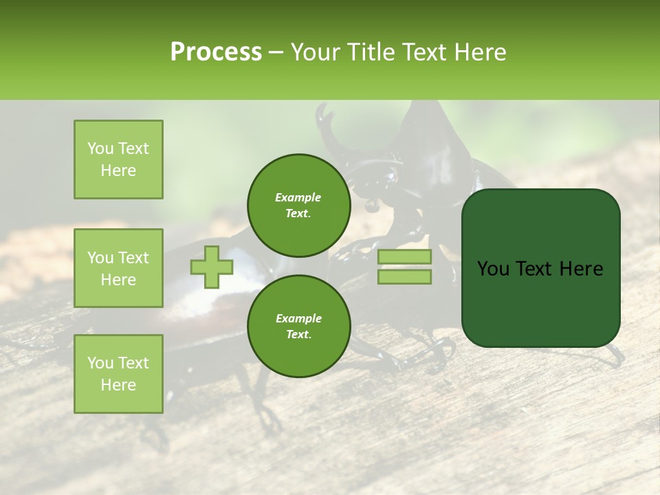 Sunrise Portrait Coast PowerPoint Template