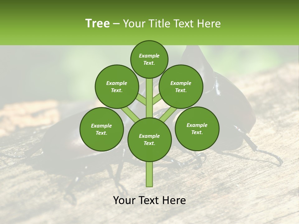 Sunrise Portrait Coast PowerPoint Template