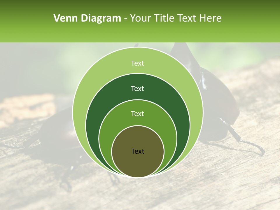 Sunrise Portrait Coast PowerPoint Template