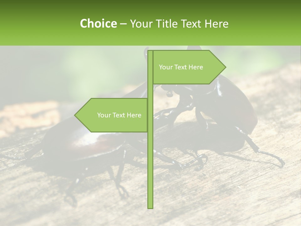 Sunrise Portrait Coast PowerPoint Template
