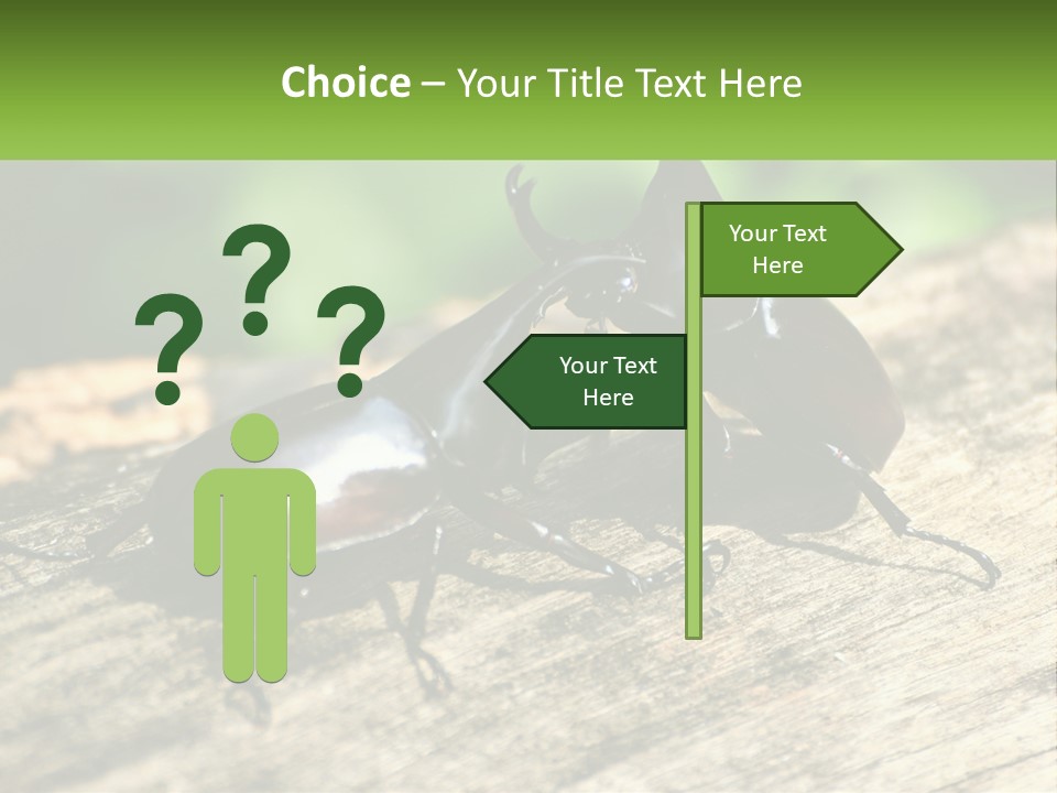 Sunrise Portrait Coast PowerPoint Template