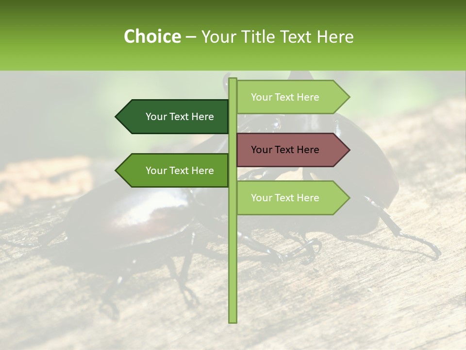 Sunrise Portrait Coast PowerPoint Template