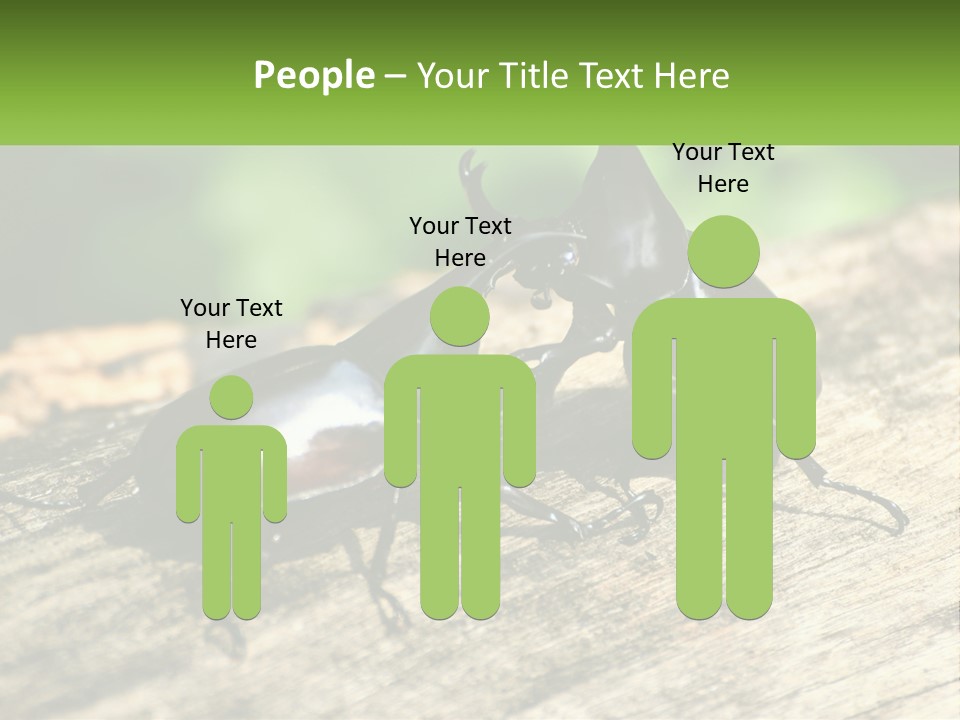 Sunrise Portrait Coast PowerPoint Template