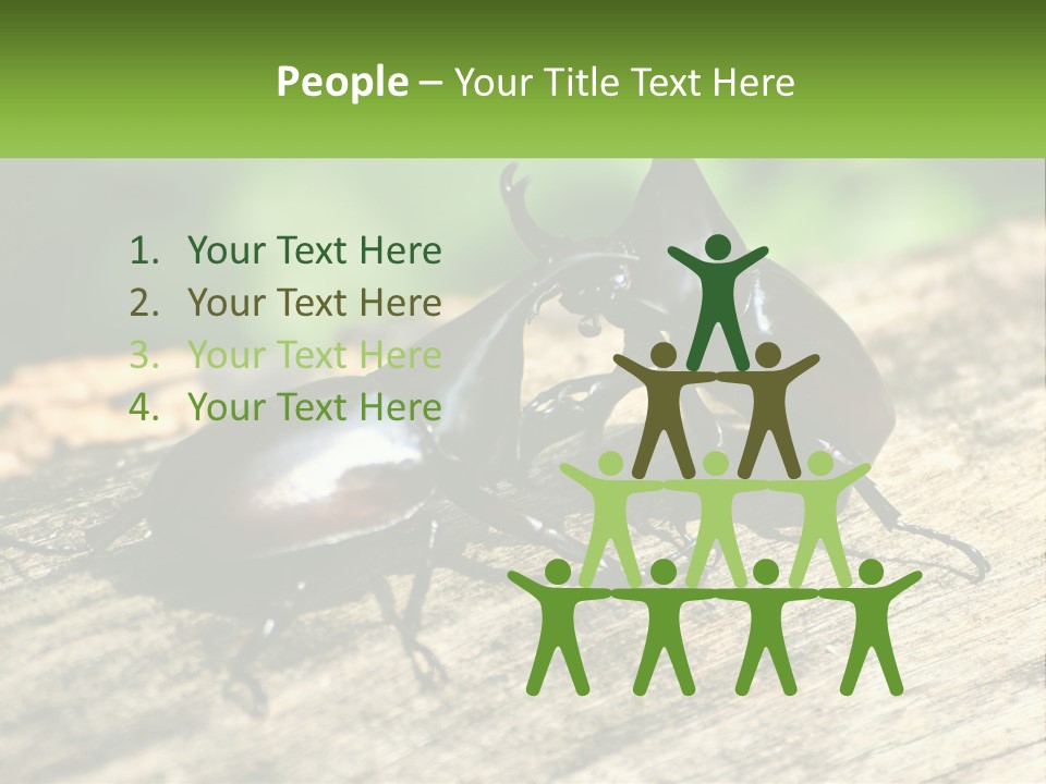 Sunrise Portrait Coast PowerPoint Template