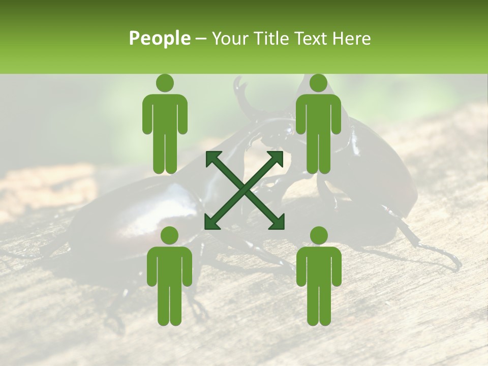 Sunrise Portrait Coast PowerPoint Template