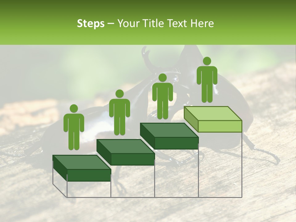 Sunrise Portrait Coast PowerPoint Template