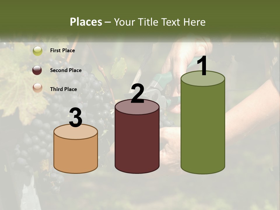 Beach Elderly Wave PowerPoint Template