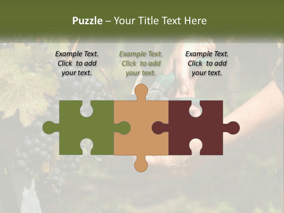 Beach Elderly Wave PowerPoint Template