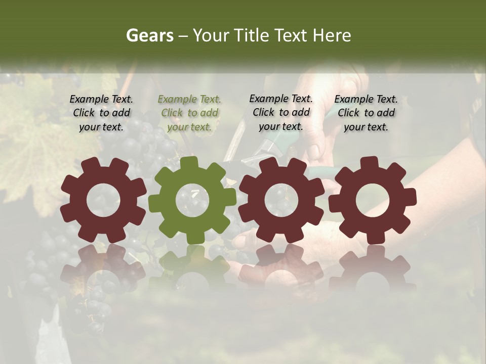 Beach Elderly Wave PowerPoint Template