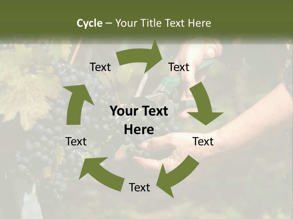 Beach Elderly Wave PowerPoint Template