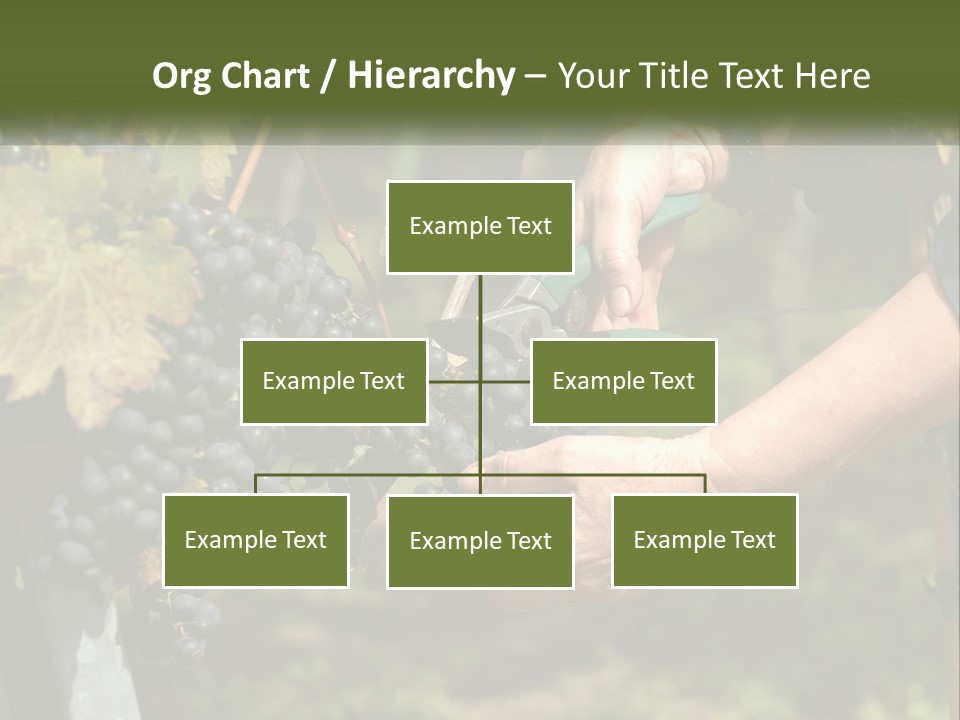 Beach Elderly Wave PowerPoint Template