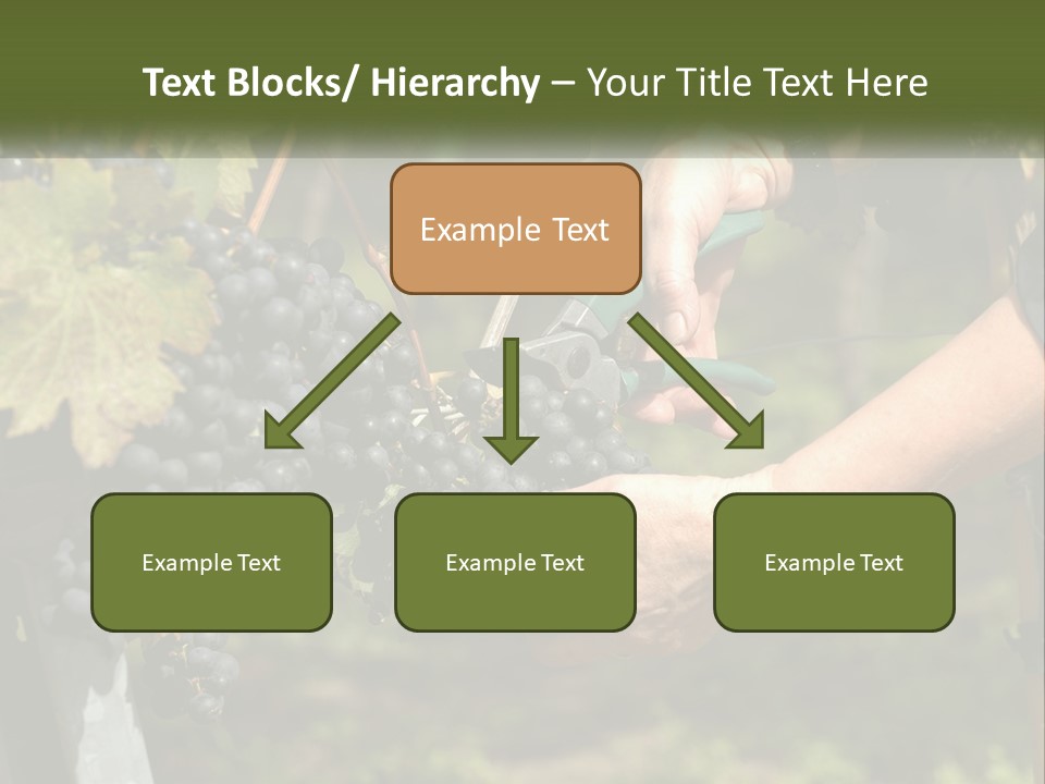 Beach Elderly Wave PowerPoint Template