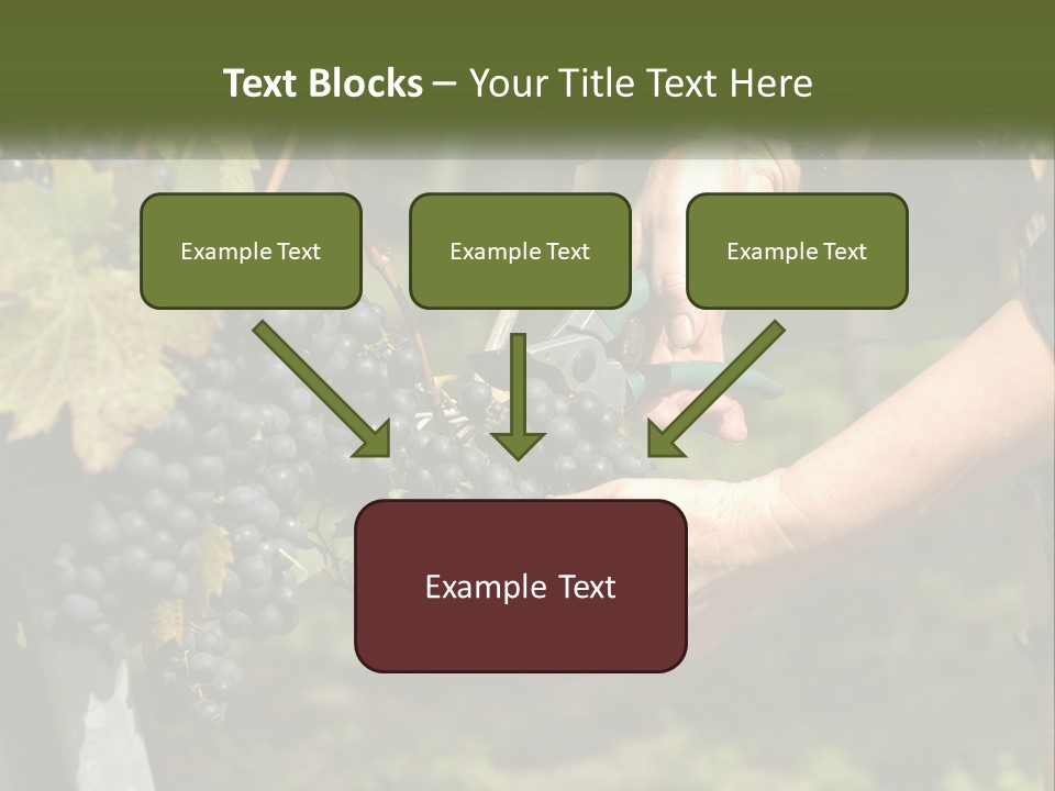 Beach Elderly Wave PowerPoint Template