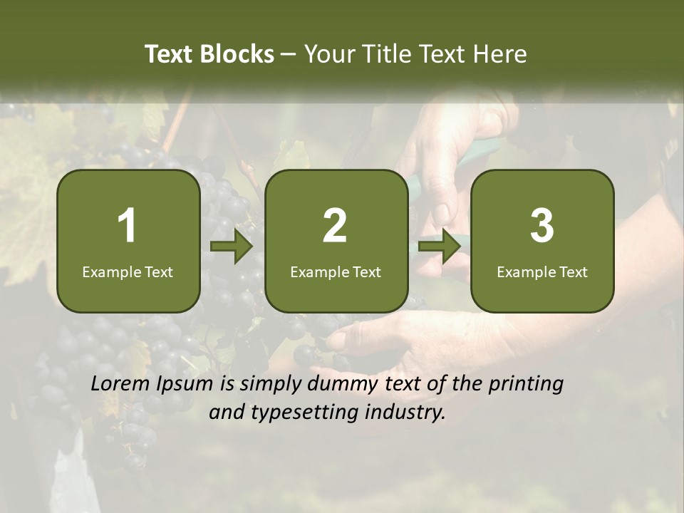 Beach Elderly Wave PowerPoint Template