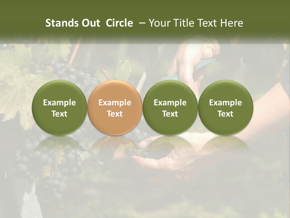 Beach Elderly Wave PowerPoint Template