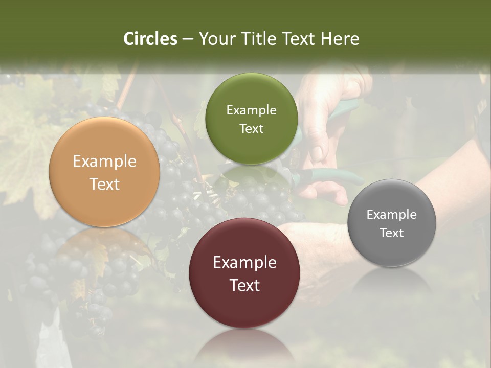 Beach Elderly Wave PowerPoint Template