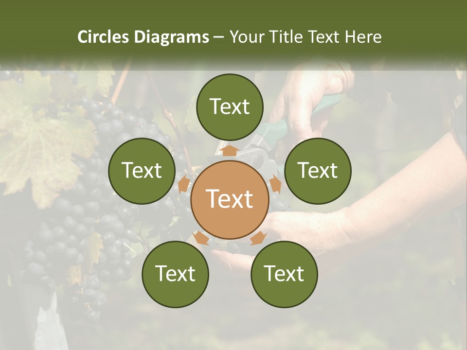 Beach Elderly Wave PowerPoint Template