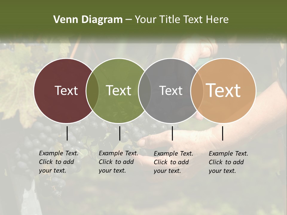 Beach Elderly Wave PowerPoint Template