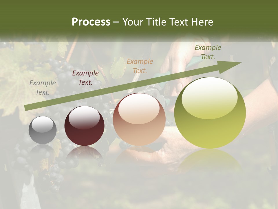 Beach Elderly Wave PowerPoint Template