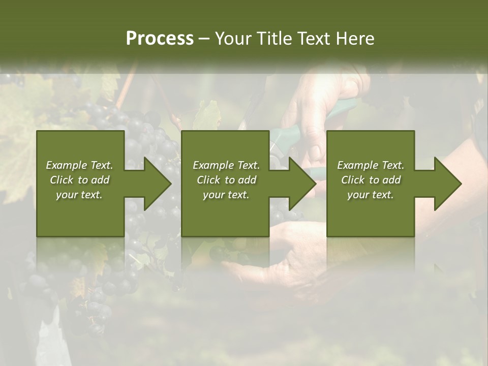 Beach Elderly Wave PowerPoint Template