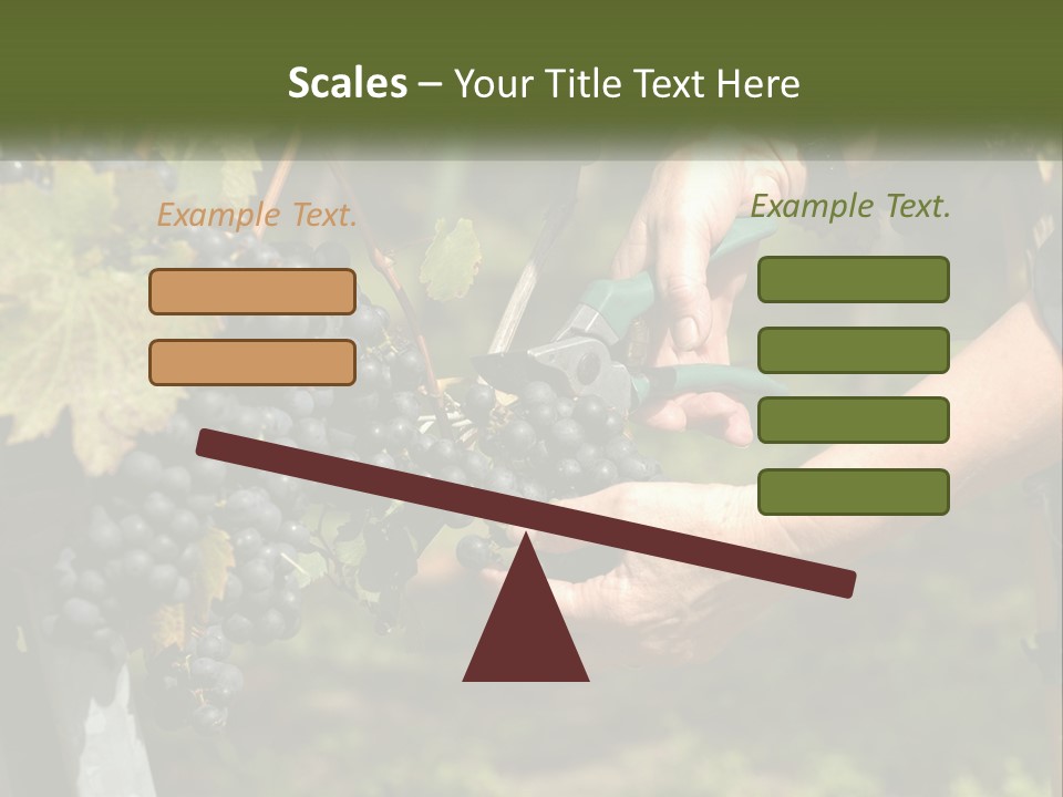 Beach Elderly Wave PowerPoint Template