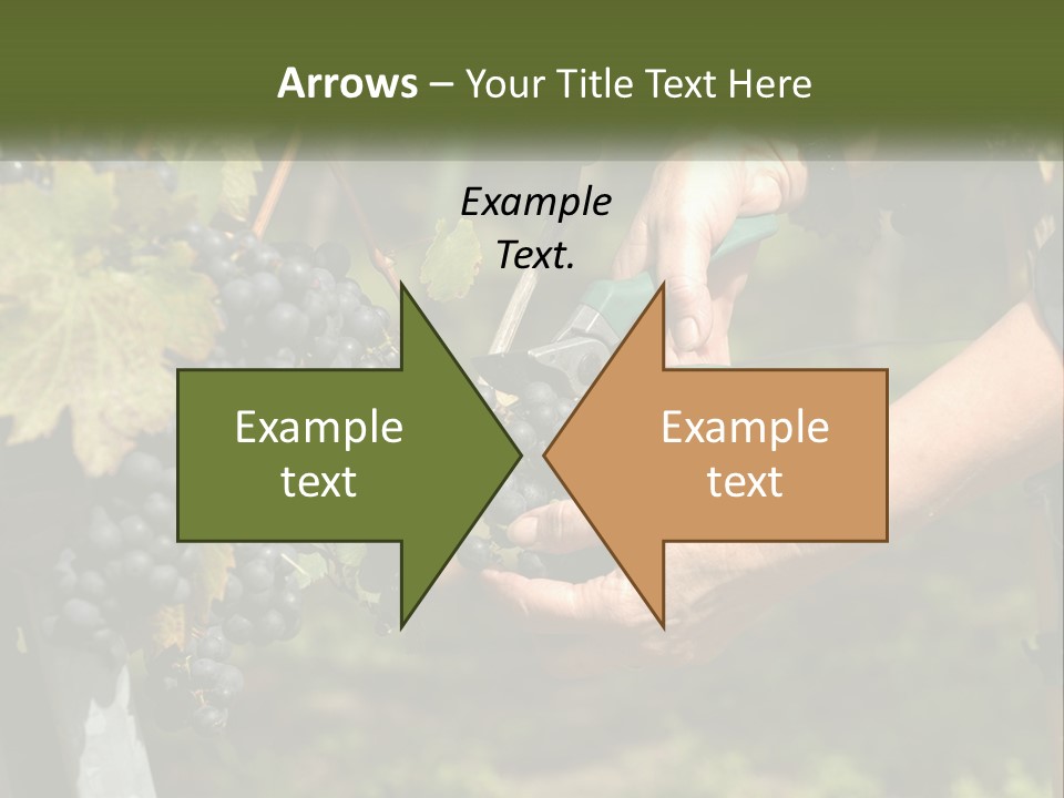 Beach Elderly Wave PowerPoint Template